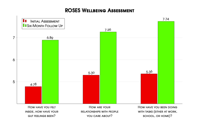 ROSES Wellbeing Assessment - Vegas Stronger Outcomes Report