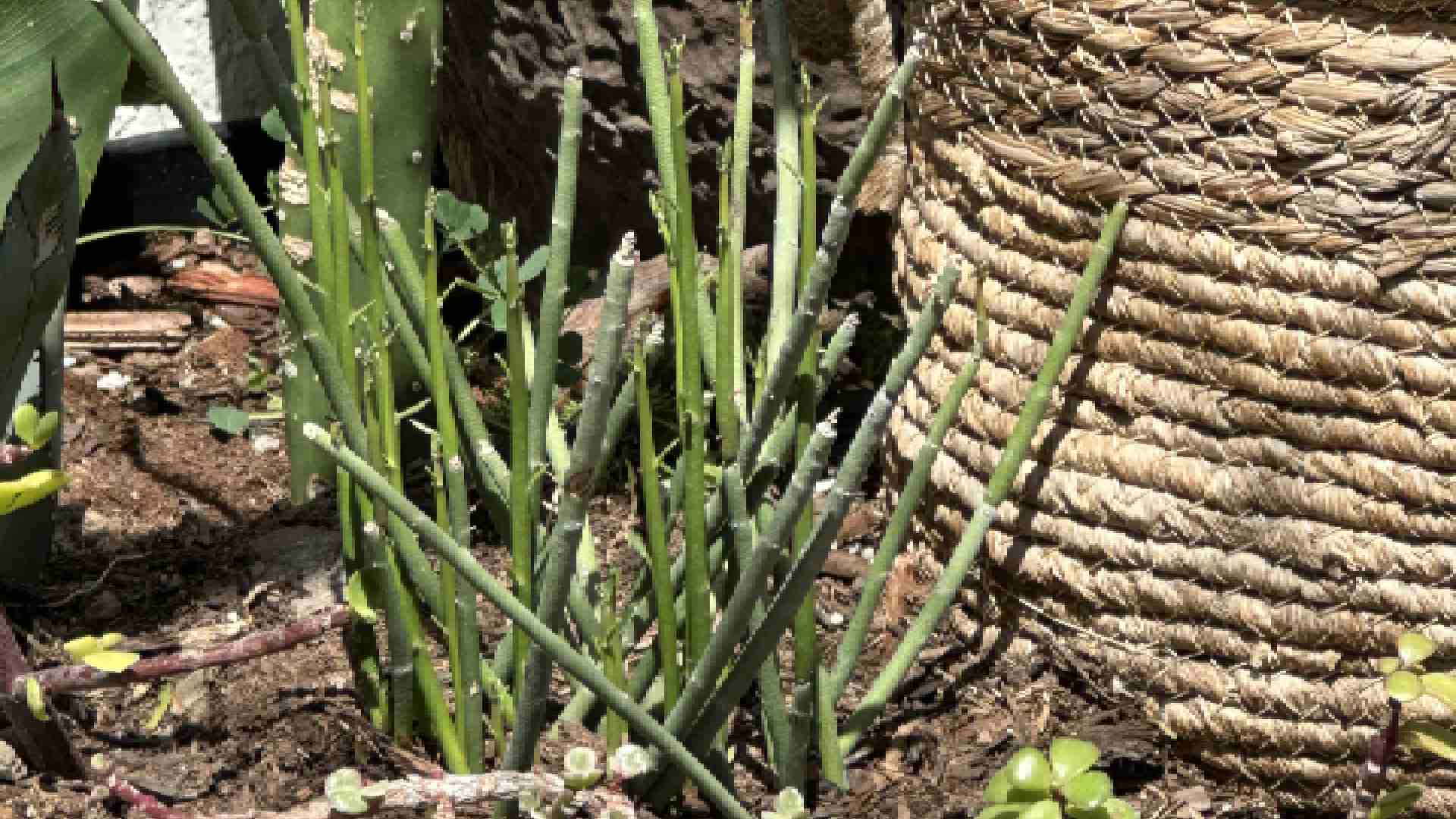 Case Management for Addiction: Your Path to Lasting Change