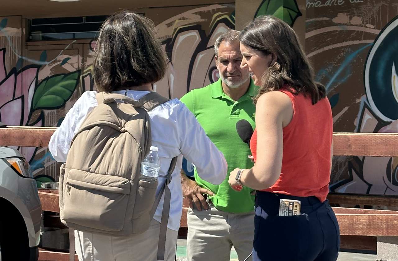 Telehealth Mental Health