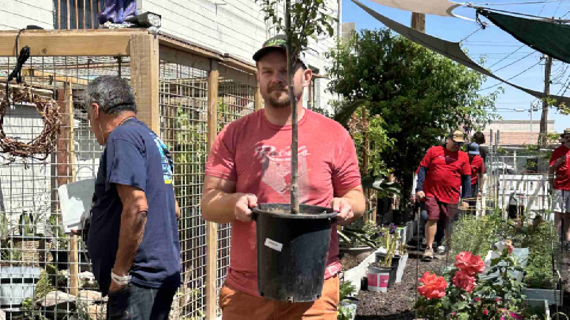 Get Support: Top LSD Addiction Treatment in Las Vegas