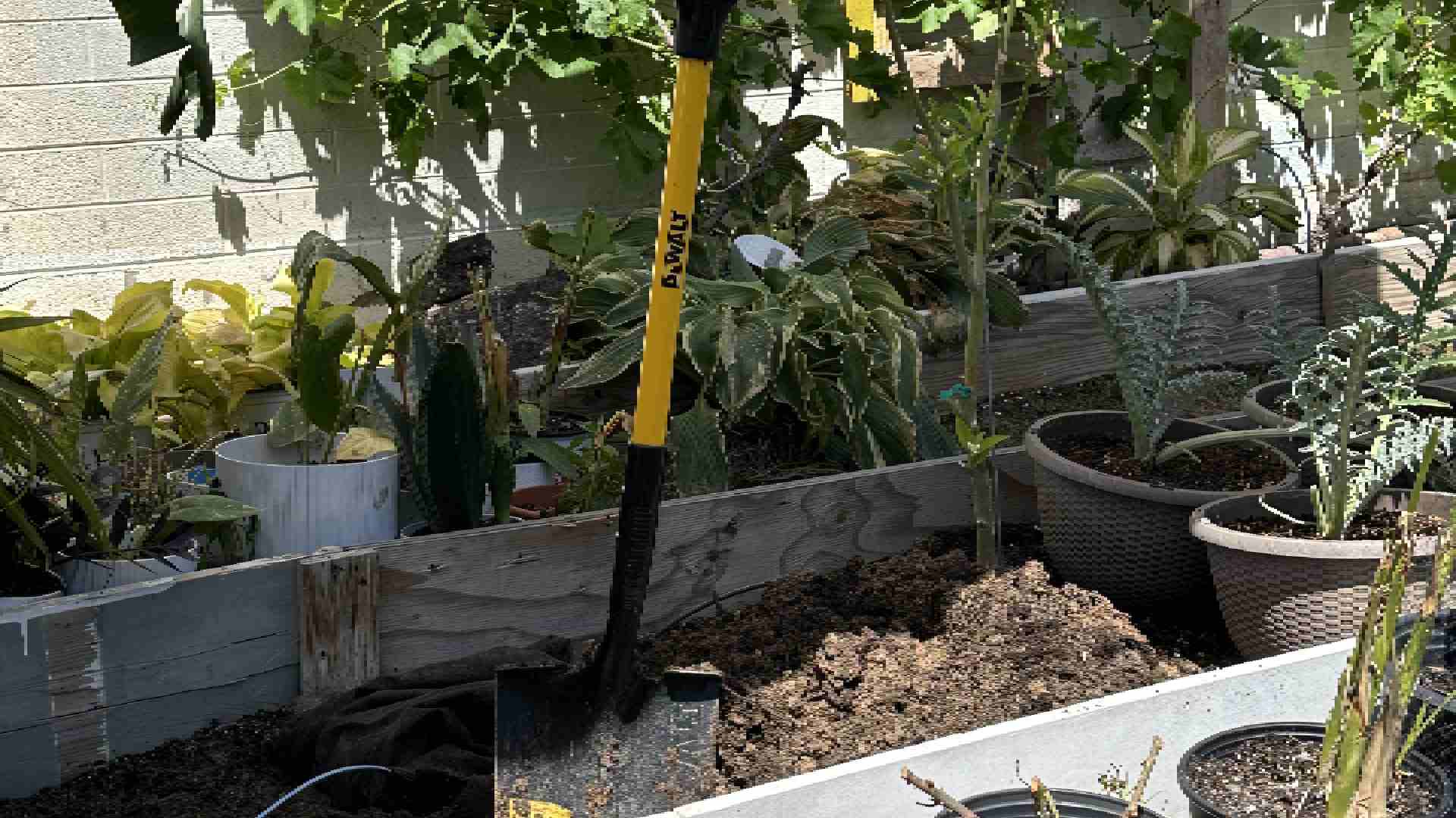 How Dual Diagnosis Treatment Can Change Your Life Today