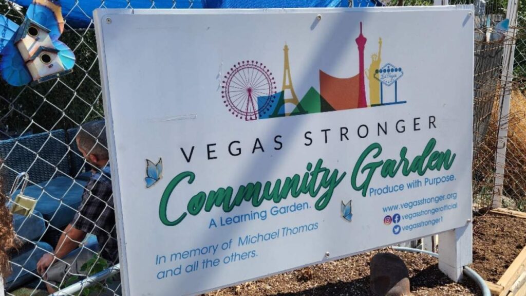 Vegas Stronger’s Approach to Harm Reduction & Relapse Prevention