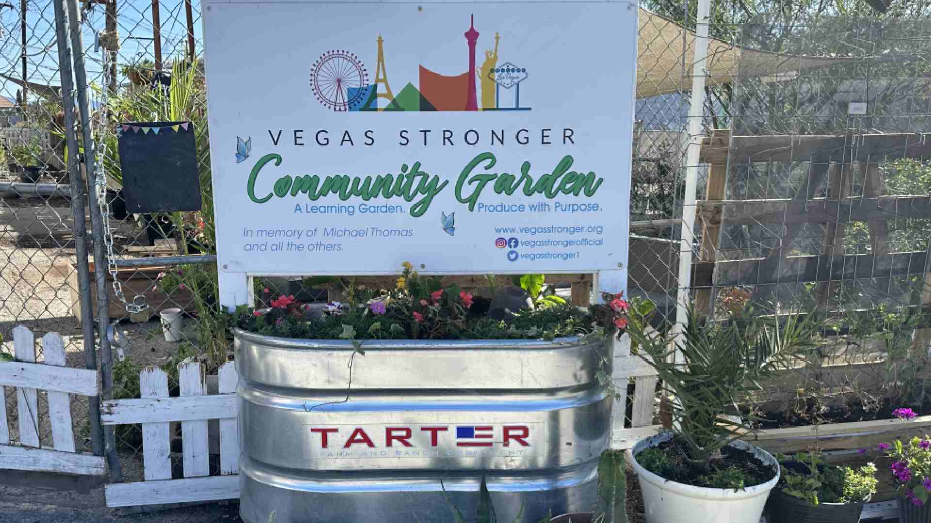 Vegas Stronger™ Merges with Neubauer Mental Health Services to Treat Las Vegans