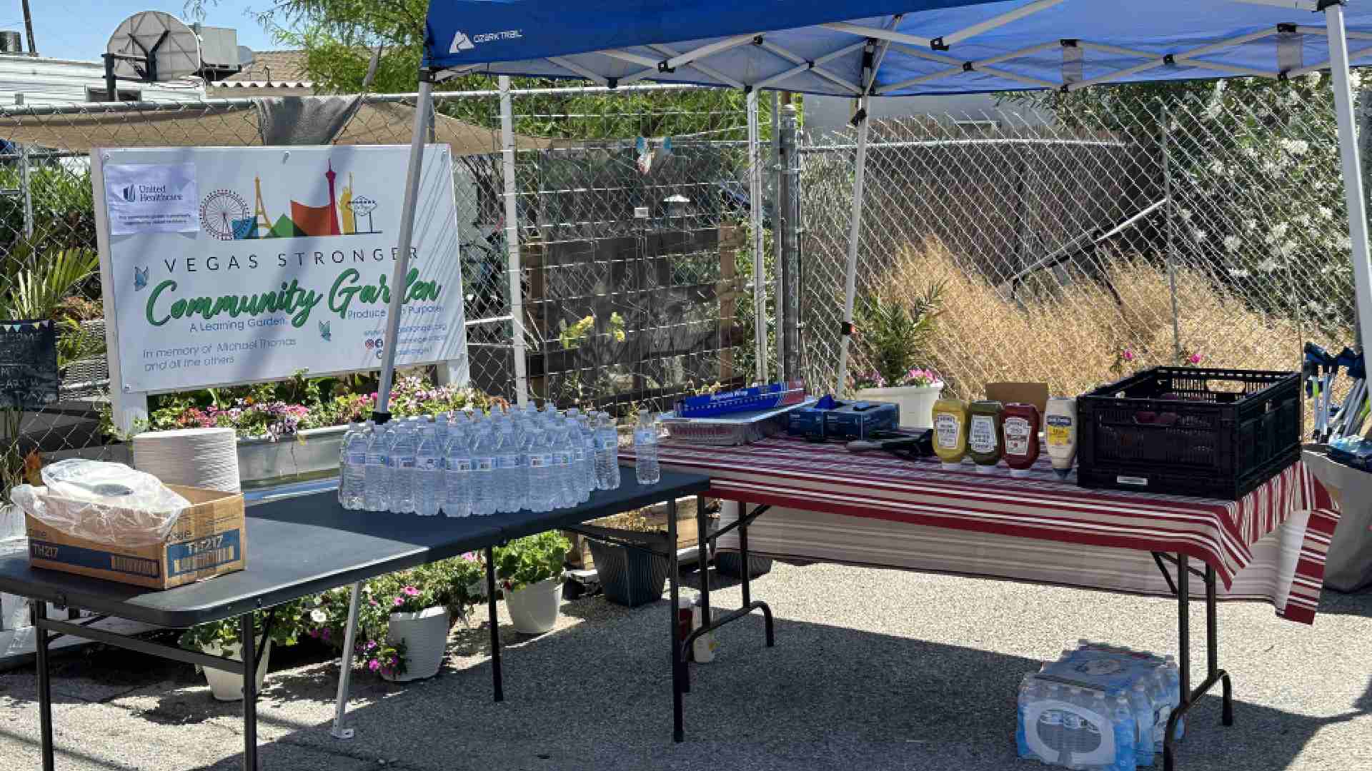 Why Choose Vegas Stronger for Synthetic Drug Addiction Treatment?